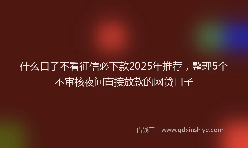 什么口子不看征信必下款2025年推荐，整理5个不审核夜间直接放款的网贷口子