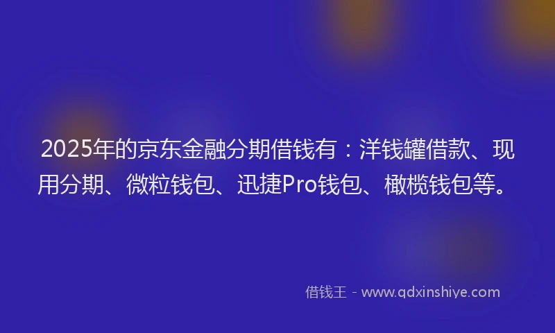 2025年的京东金融分期借钱有：洋钱罐借款、现用分期、微粒钱包、迅捷Pro钱包、橄榄钱包等。