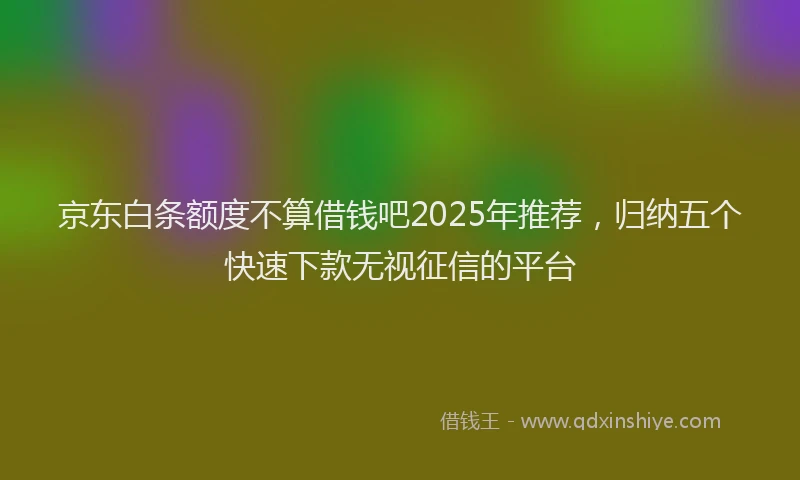 京东白条额度不算借钱吧2025年推荐，归纳五个快速下款无视征信的平台