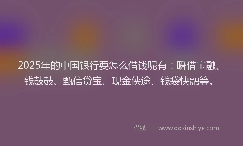 2025年的中国银行要怎么借钱呢有：瞬借宝融、钱鼓鼓、甄信贷宝、现金侠途、钱袋快融等。
