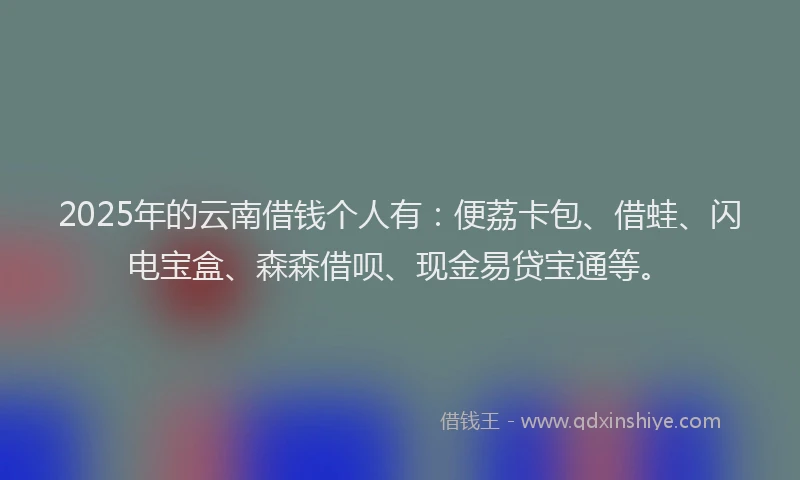 2025年的云南借钱个人有：便荔卡包、借蛙、闪电宝盒、森森借呗、现金易贷宝通等。