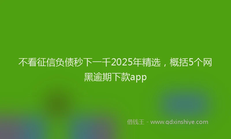不看征信负债秒下一千2025年精选，概括5个网黑逾期下款app