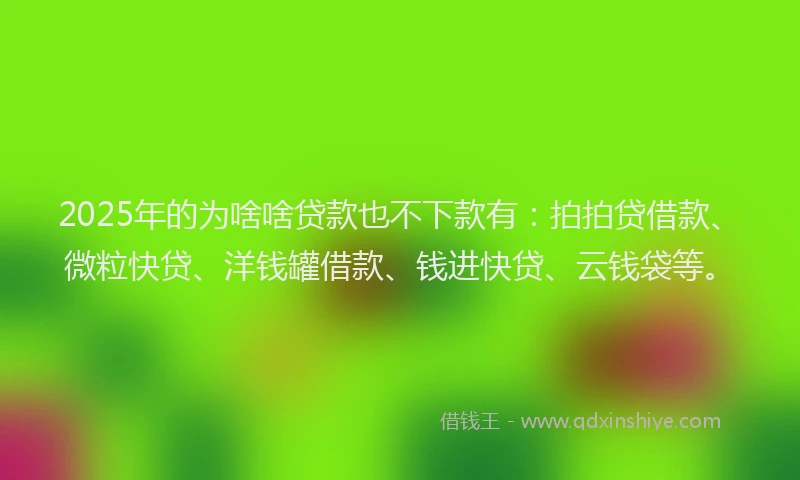 2025年的为啥啥贷款也不下款有：拍拍贷借款、微粒快贷、洋钱罐借款、钱进快贷、云钱袋等。