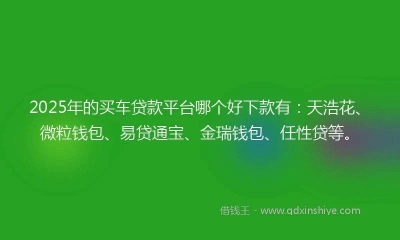 2025年的买车贷款平台哪个好下款有：天浩花、微粒钱包、易贷通宝、金瑞钱包、任性贷等。