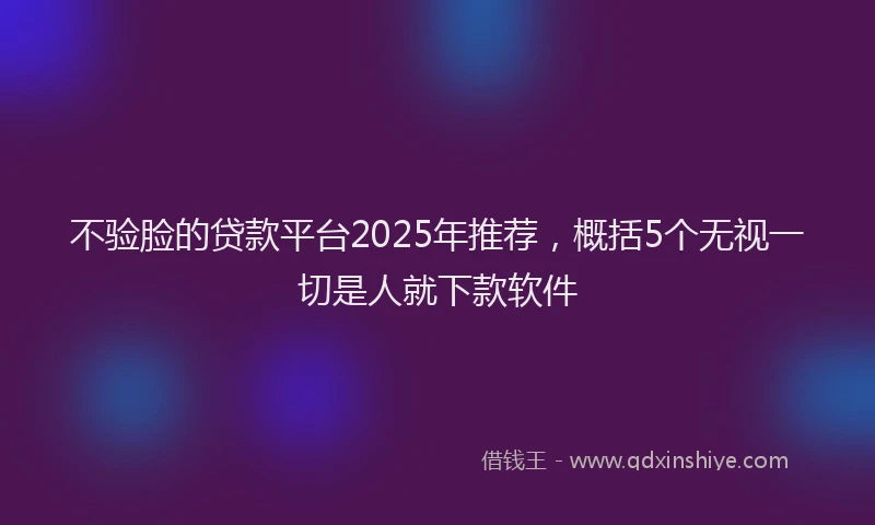 不验脸的贷款平台2025年推荐，概括5个无视一切是人就下款软件