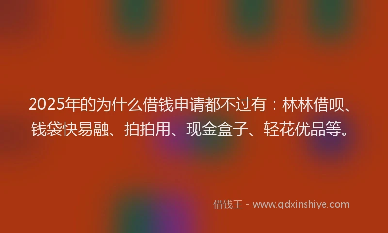 2025年的为什么借钱申请都不过有：林林借呗、钱袋快易融、拍拍用、现金盒子、轻花优品等。