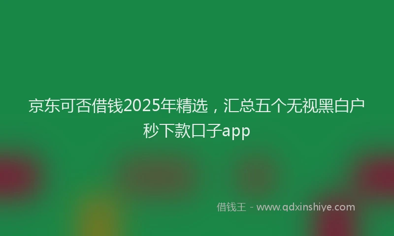 京东可否借钱2025年精选，汇总五个无视黑白户秒下款口子app
