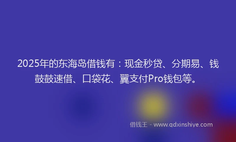 2025年的东海岛借钱有：现金秒贷、分期易、钱鼓鼓速借、口袋花、翼支付Pro钱包等。