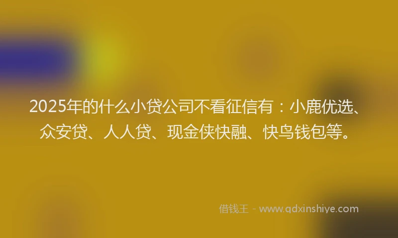 2025年的什么小贷公司不看征信有：小鹿优选、众安贷、人人贷、现金侠快融、快鸟钱包等。