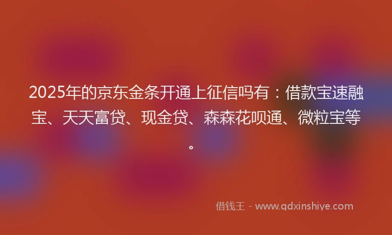 2025年的京东金条开通上征信吗有：借款宝速融宝、天天富贷、现金贷、森森花呗通、微粒宝等。