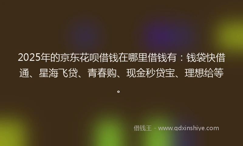 2025年的京东花呗借钱在哪里借钱有：钱袋快借通、星海飞贷、青春购、现金秒贷宝、理想给等。
