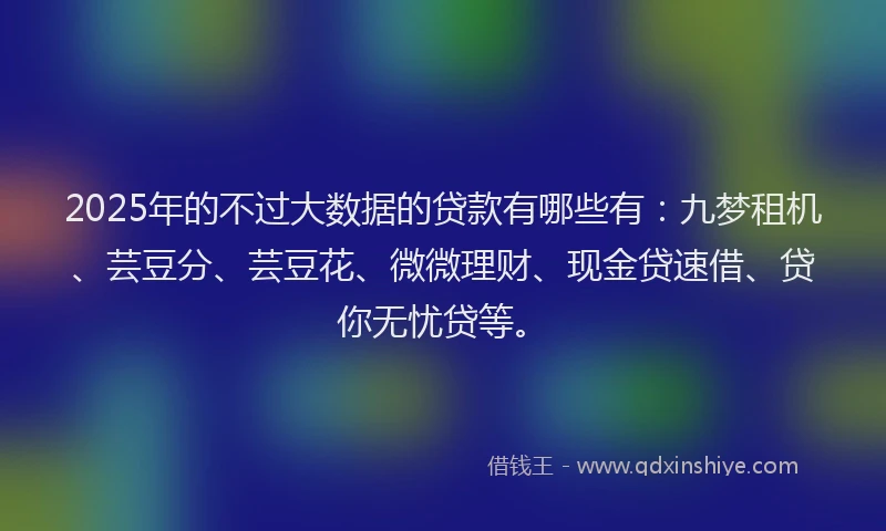 2025年的不过大数据的贷款有哪些有：九梦租机、芸豆分、芸豆花、微微理财、现金贷速借、贷你无忧贷等。