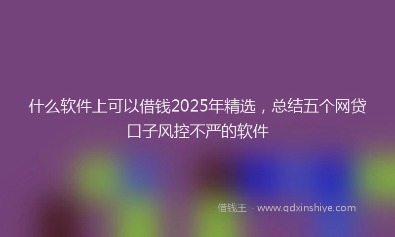 什么软件上可以借钱2025年精选，总结五个网贷口子风控不严的软件