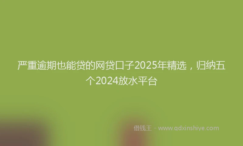 严重逾期也能贷的网贷口子2025年精选，归纳五个2024放水平台
