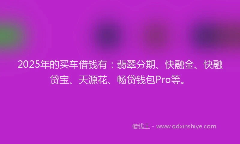 2025年的买车借钱有：翡翠分期、快融金、快融贷宝、天源花、畅贷钱包Pro等。