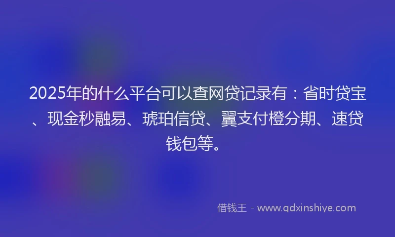2025年的什么平台可以查网贷记录有：省时贷宝、现金秒融易、琥珀信贷、翼支付橙分期、速贷钱包等。