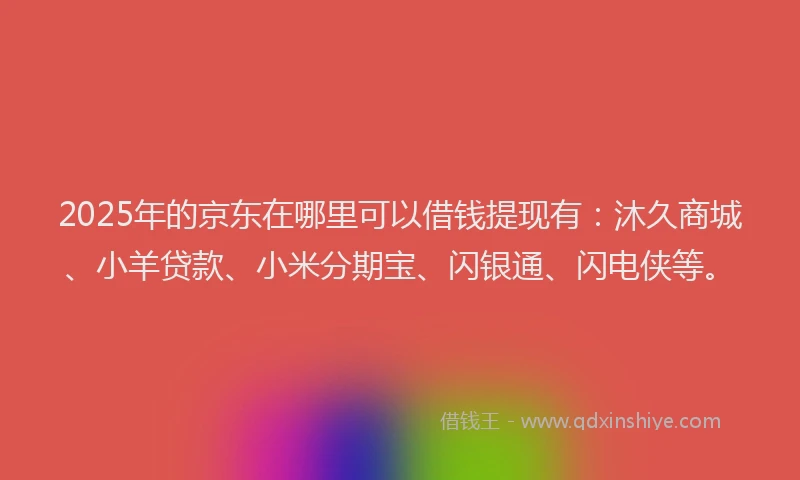 2025年的京东在哪里可以借钱提现有：沐久商城、小羊贷款、小米分期宝、闪银通、闪电侠等。
