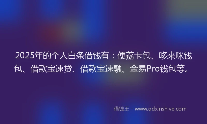 2025年的个人白条借钱有：便荔卡包、哆来咪钱包、借款宝速贷、借款宝速融、金易Pro钱包等。