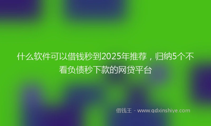 什么软件可以借钱秒到2025年推荐，归纳5个不看负债秒下款的网贷平台