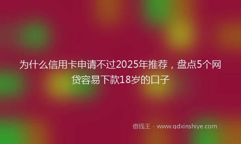 为什么信用卡申请不过2025年推荐，盘点5个网贷容易下款18岁的口子