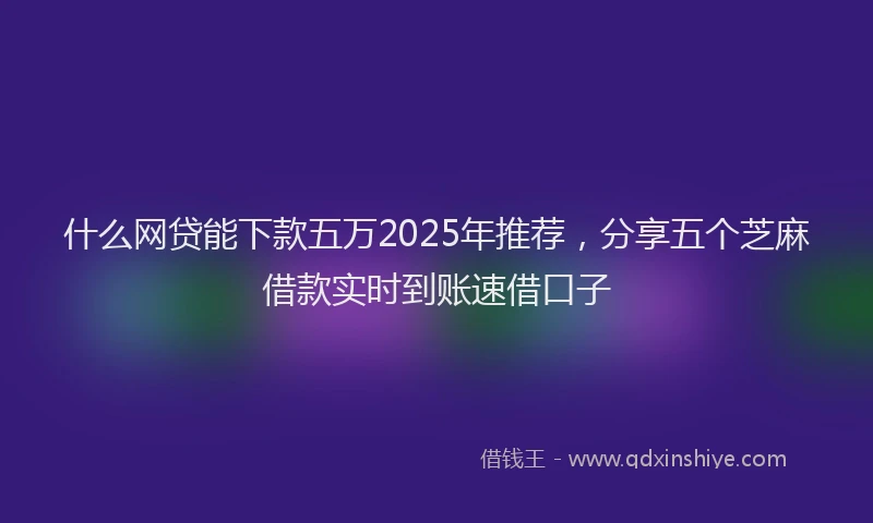 什么网贷能下款五万2025年推荐，分享五个芝麻借款实时到账速借口子
