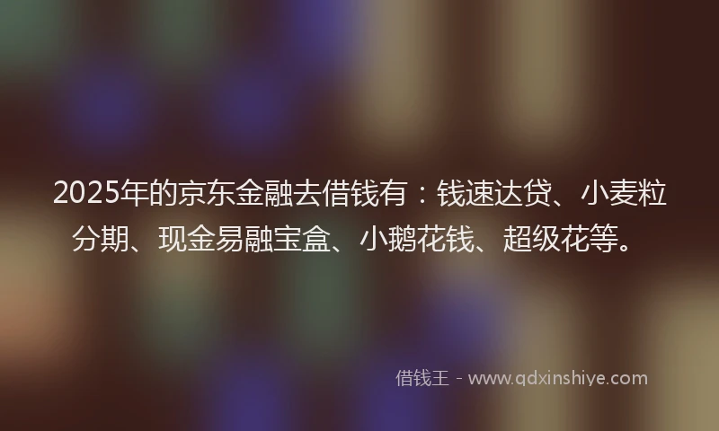 2025年的京东金融去借钱有：钱速达贷、小麦粒分期、现金易融宝盒、小鹅花钱、超级花等。
