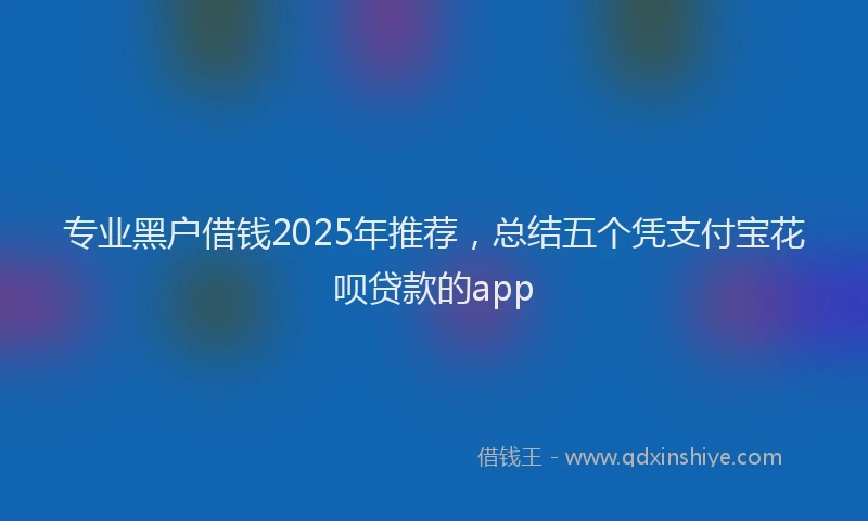 专业黑户借钱2025年推荐，总结五个凭支付宝花呗贷款的app