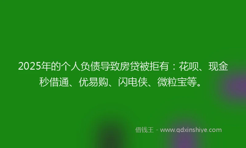 2025年的个人负债导致房贷被拒有：花呗、现金秒借通、优易购、闪电侠、微粒宝等。