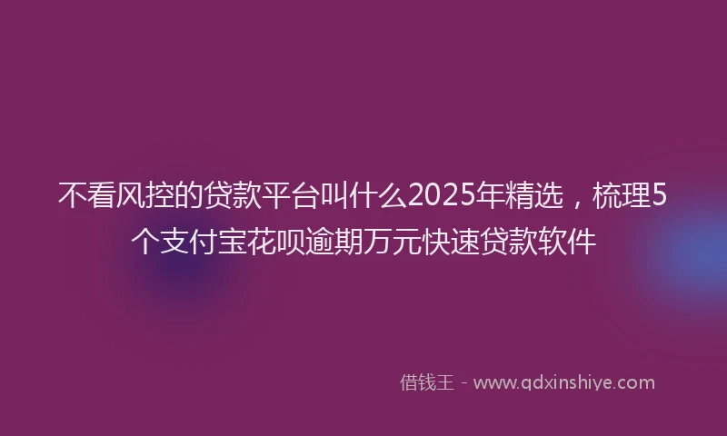 不看风控的贷款平台叫什么2025年精选，梳理5个支付宝花呗逾期万元快速贷款软件