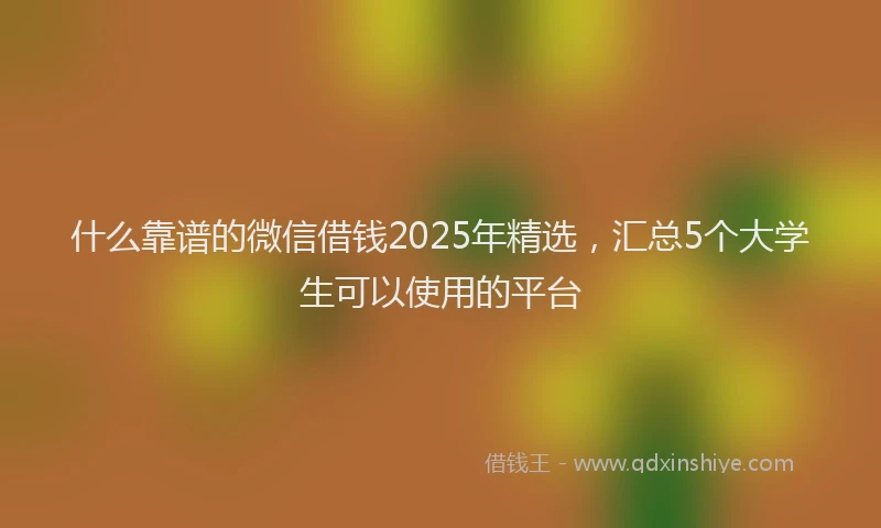 什么靠谱的微信借钱2025年精选，汇总5个大学生可以使用的平台