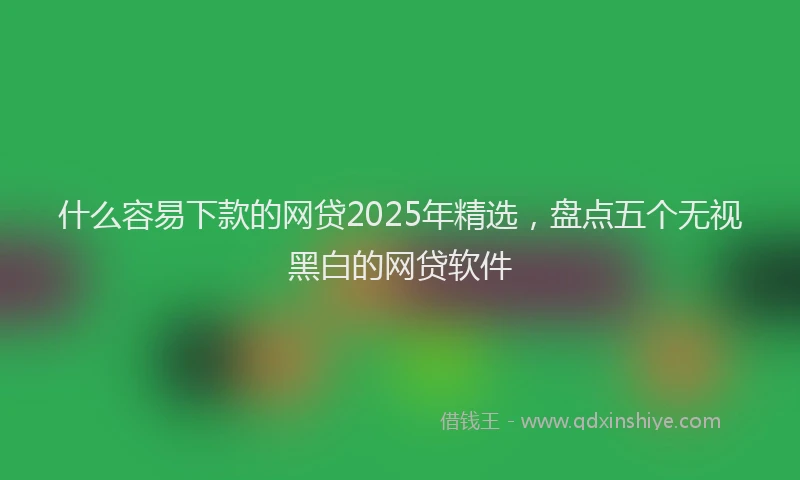什么容易下款的网贷2025年精选，盘点五个无视黑白的网贷软件