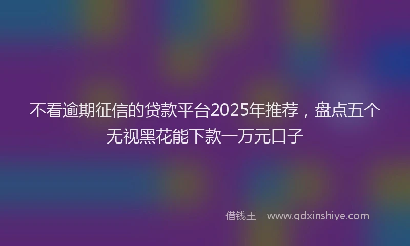 不看逾期征信的贷款平台2025年推荐，盘点五个无视黑花能下款一万元口子