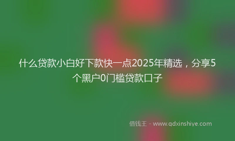 什么贷款小白好下款快一点2025年精选，分享5个黑户0门槛贷款口子