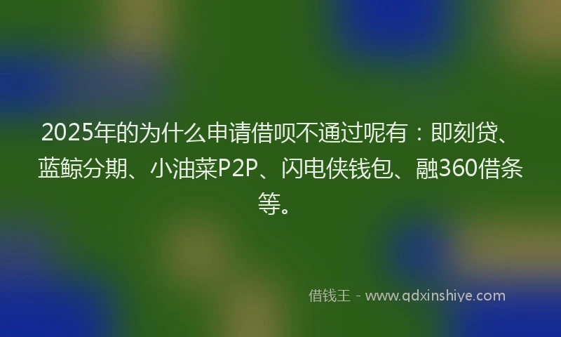 2025年的为什么申请借呗不通过呢有：即刻贷、蓝鲸分期、小油菜P2P、闪电侠钱包、融360借条等。