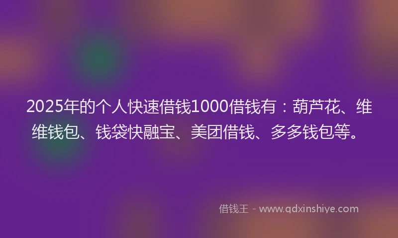 2025年的个人快速借钱1000借钱有：葫芦花、维维钱包、钱袋快融宝、美团借钱、多多钱包等。