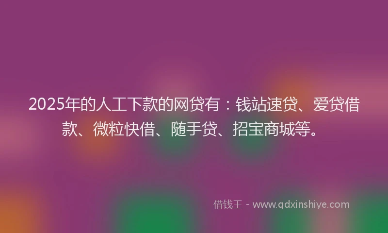 2025年的人工下款的网贷有：钱站速贷、爱贷借款、微粒快借、随手贷、招宝商城等。