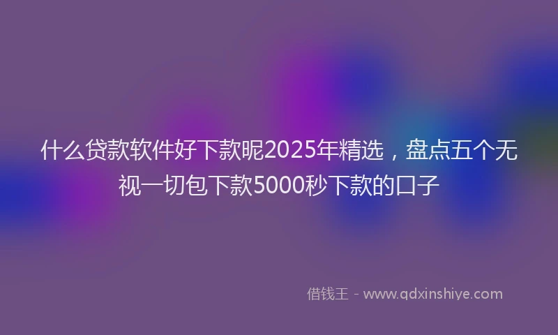 什么贷款软件好下款昵2025年精选，盘点五个无视一切包下款5000秒下款的口子