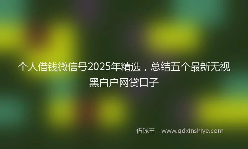 个人借钱微信号2025年精选，总结五个最新无视黑白户网贷口子