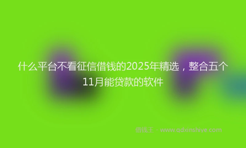 什么平台不看征信借钱的2025年精选，整合五个11月能贷款的软件