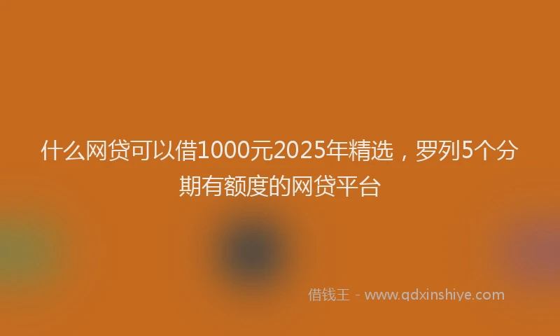 什么网贷可以借1000元2025年精选，罗列5个分期有额度的网贷平台
