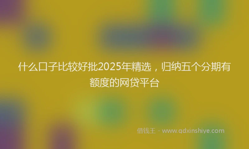 什么口子比较好批2025年精选，归纳五个分期有额度的网贷平台
