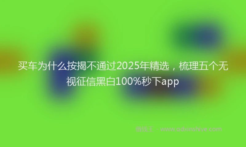 买车为什么按揭不通过2025年精选，梳理五个无视征信黑白100%秒下app