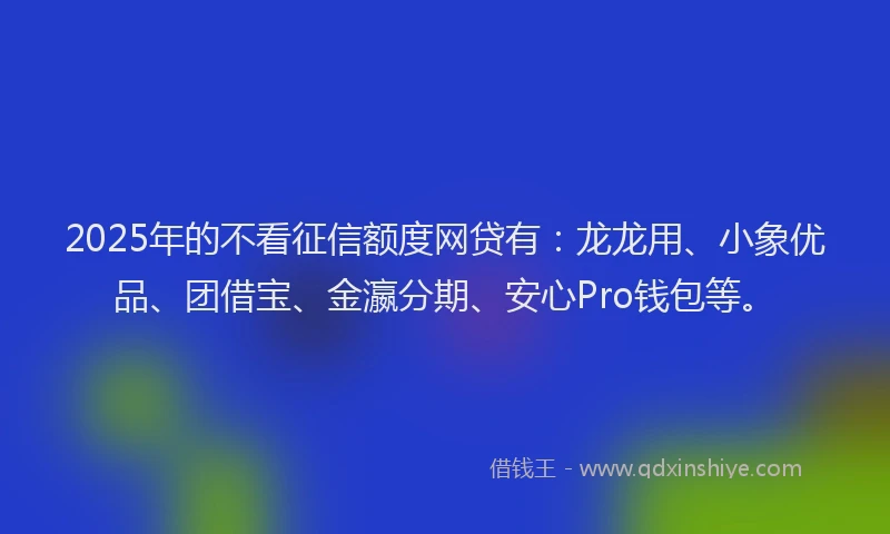 2025年的不看征信额度网贷有：龙龙用、小象优品、团借宝、金瀛分期、安心Pro钱包等。