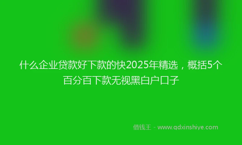 什么企业贷款好下款的快2025年精选，概括5个百分百下款无视黑白户口子