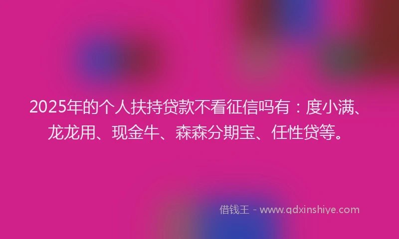 2025年的个人扶持贷款不看征信吗有：度小满、龙龙用、现金牛、森森分期宝、任性贷等。
