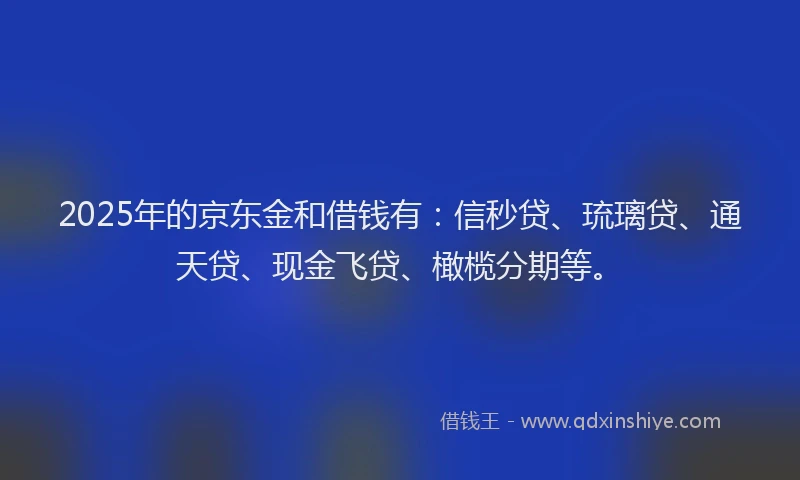 2025年的京东金和借钱有：信秒贷、琉璃贷、通天贷、现金飞贷、橄榄分期等。
