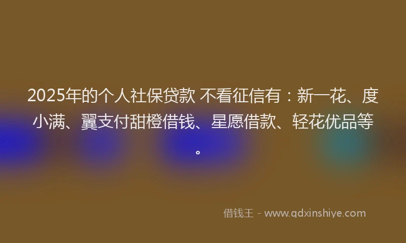 2025年的个人社保贷款 不看征信有：新一花、度小满、翼支付甜橙借钱、星愿借款、轻花优品等。