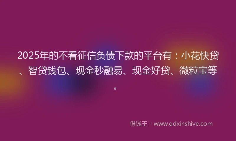 2025年的不看征信负债下款的平台有：小花快贷、智贷钱包、现金秒融易、现金好贷、微粒宝等。