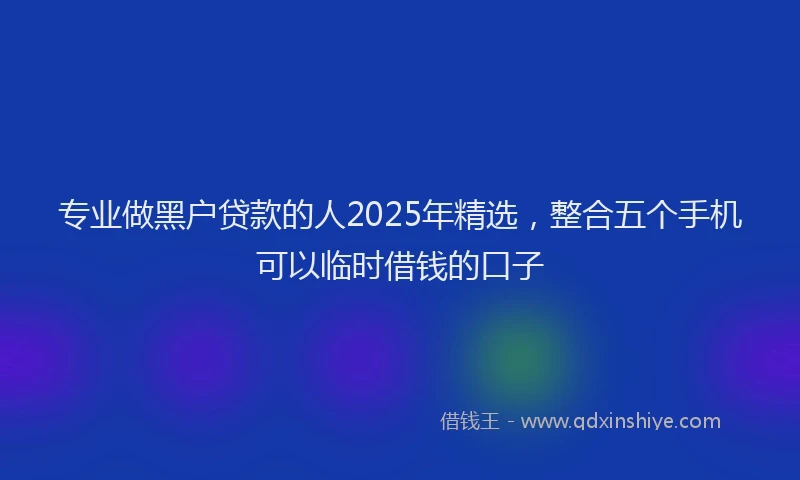 专业做黑户贷款的人2025年精选，整合五个手机可以临时借钱的口子
