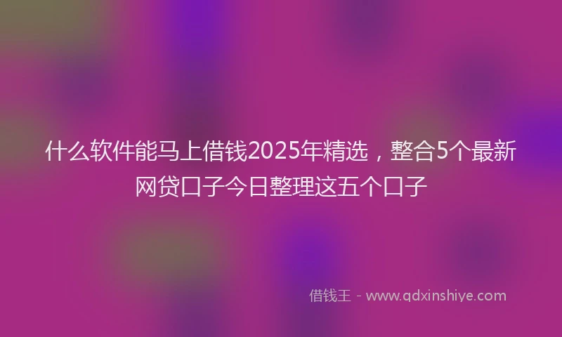 什么软件能马上借钱2025年精选，整合5个最新网贷口子今日整理这五个口子